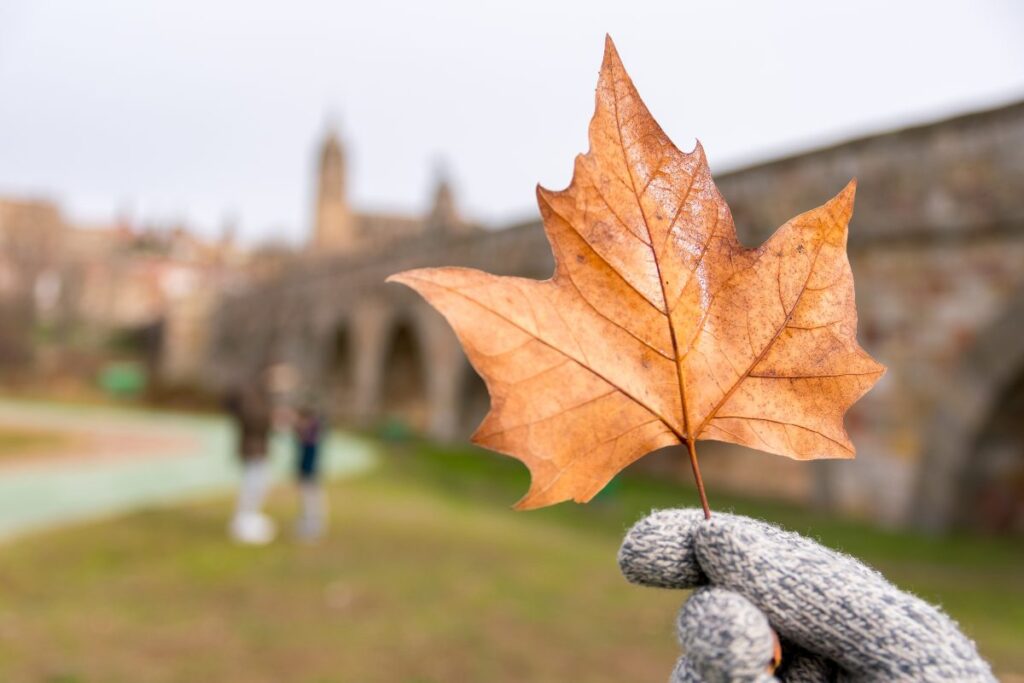 Cosa fare a Roma in autunno